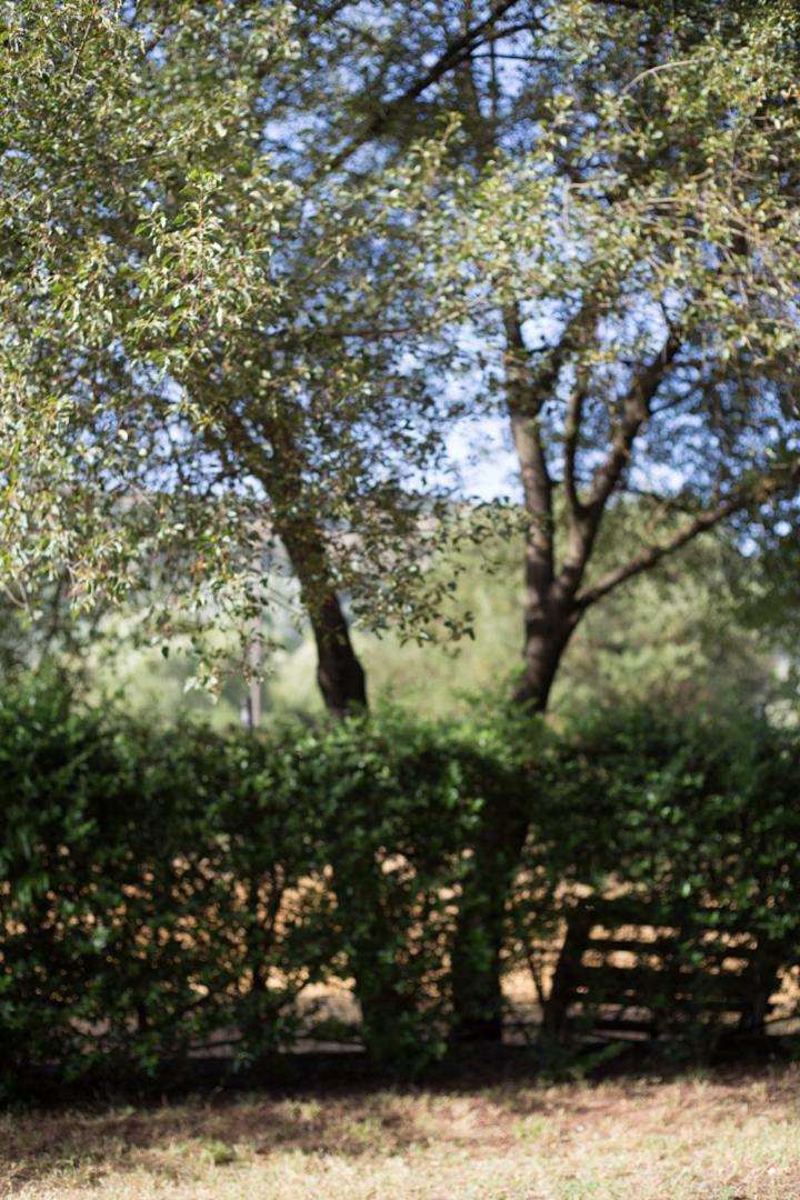 Ξενωνας Ι Σε Αγροικία Καλάβρυτα Leilighet Eksteriør bilde